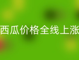 西瓜价格全线上涨
