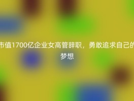 市值1700亿企业女高管辞职，勇敢追求自己的梦想