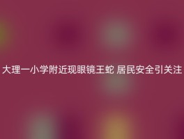 大理一小学附近现眼镜王蛇 居民安全引关注