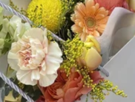 11朵香槟玫瑰：温柔岁月里的永恒承诺